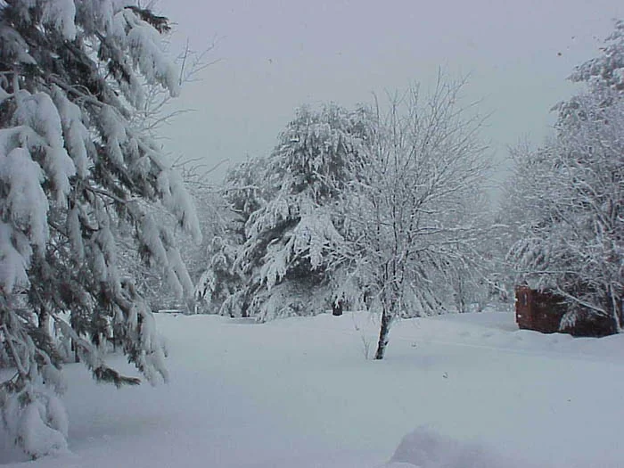Peshtigo River Campground