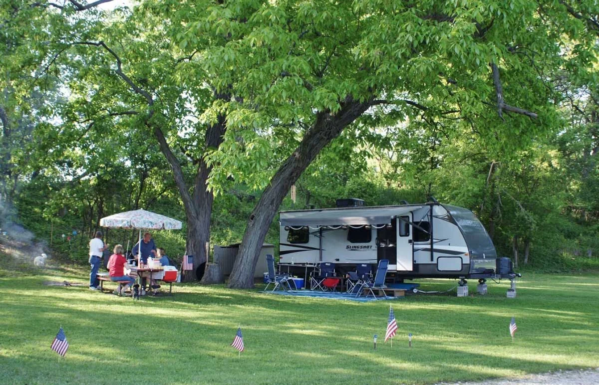 Playful Goose Of Horicon Marsh