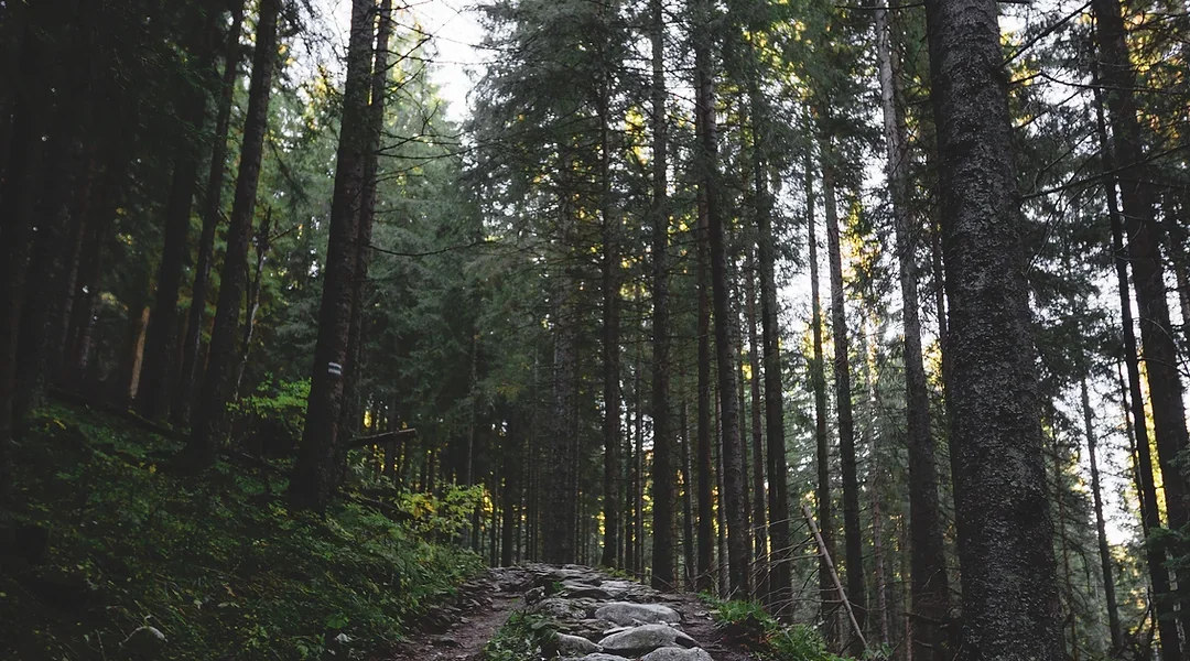 Cedar Valley Campgrounds