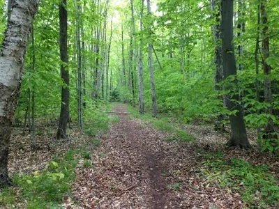 Aqualand Camp Resort