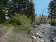 Big Horn Mountain Campground