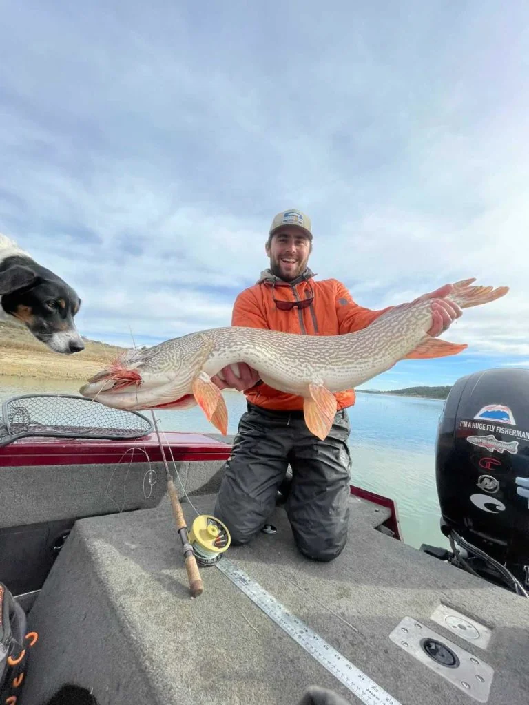 Empire Guesthouse & Rv Park +